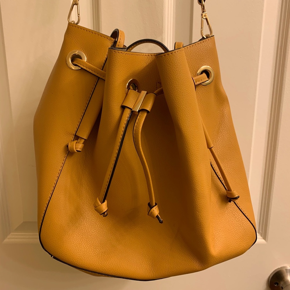 Zara golden yellow interchangeable purse